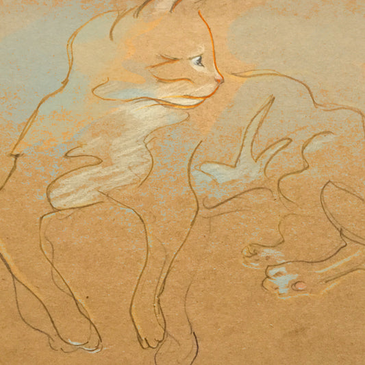 Elusive Cat