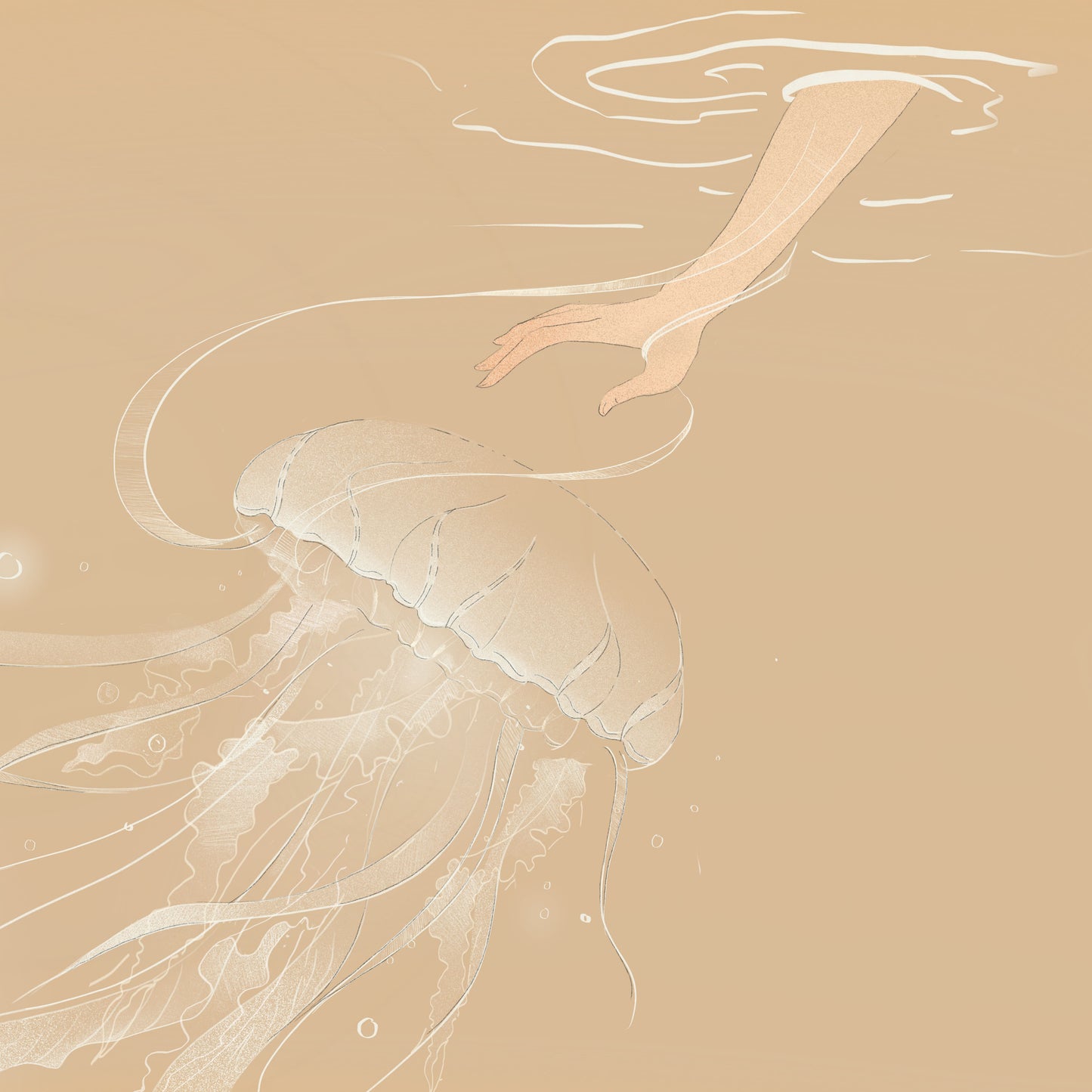 Contact