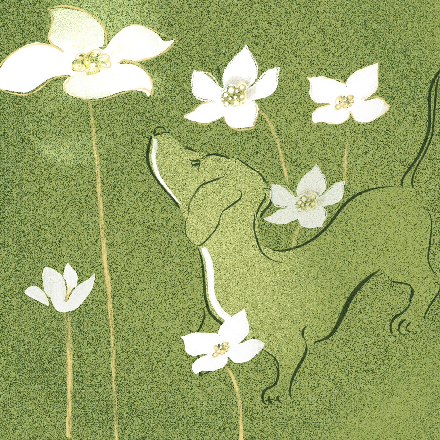 Tax i blomrabatten
