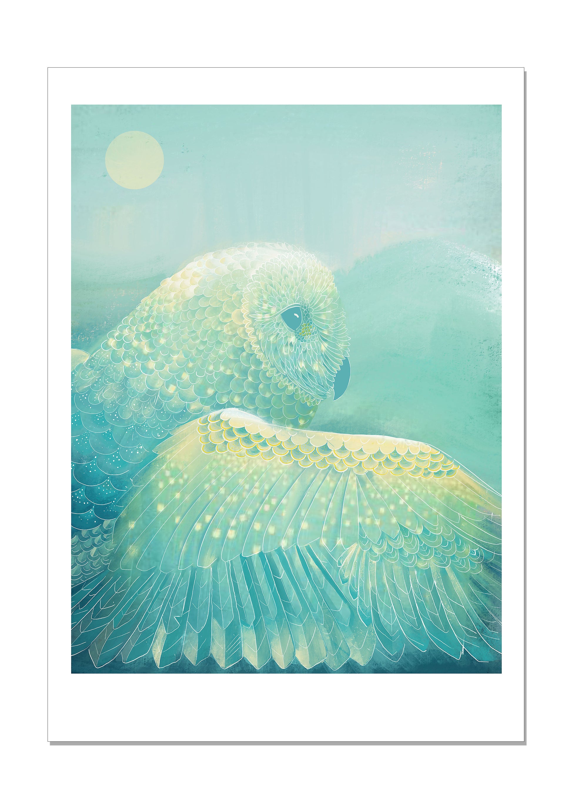 Art print poster pontus arvasen owl sky